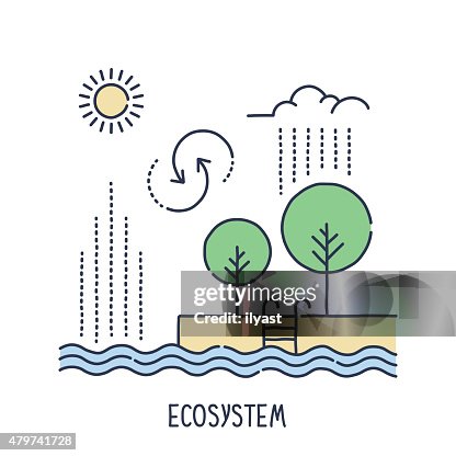 Ecosystem Symbol High-Res Vector Graphic - Getty Images