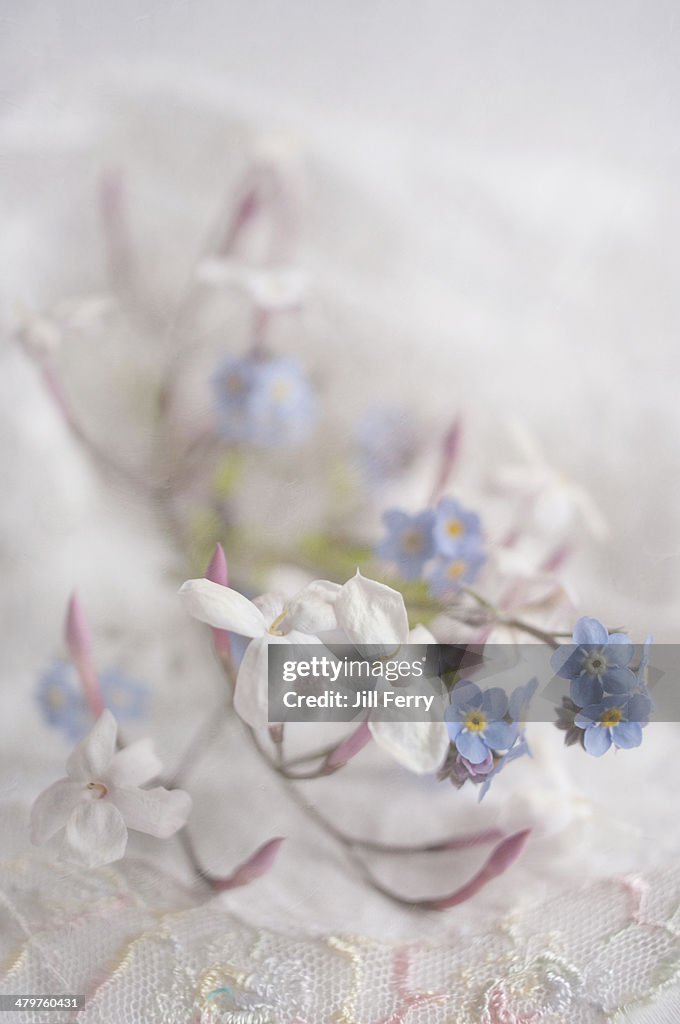 Soft flowers