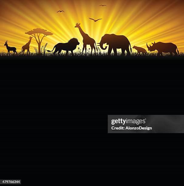 2 565点のサファリ動物イラスト素材 Getty Images 2 565点のサファリ動物イラスト素材 Getty Images