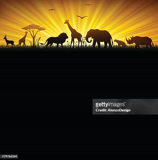 african safari - safari animals 幅插畫檔、美工圖案、卡通及圖標