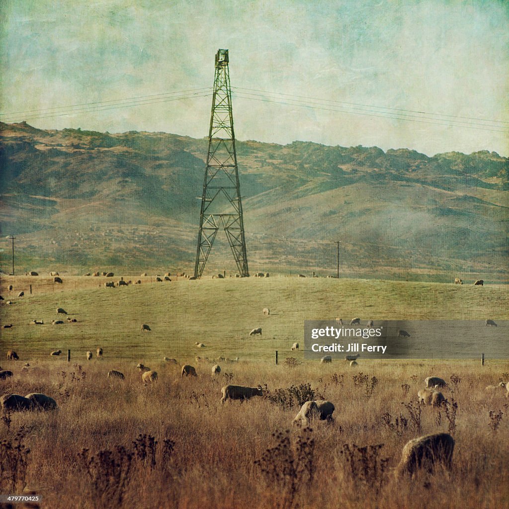 Countryside