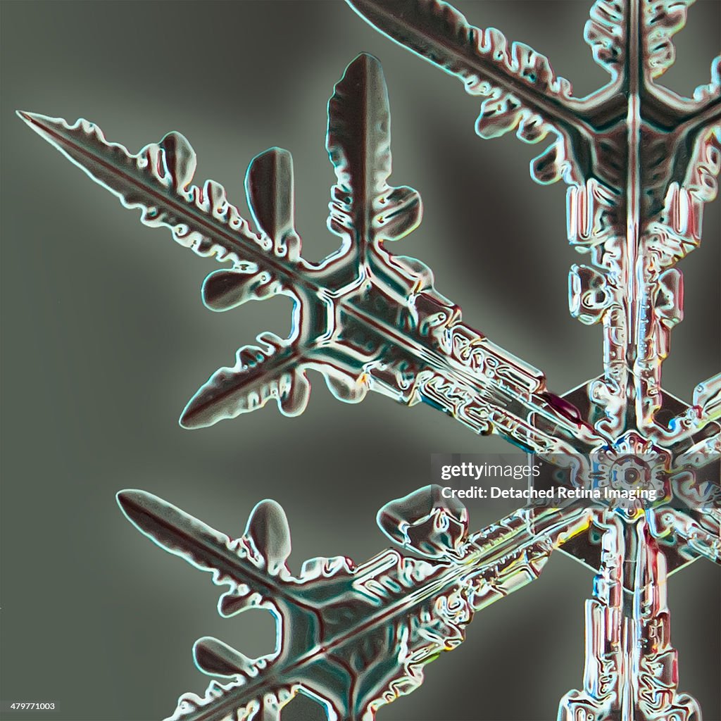 Snowflake Detail