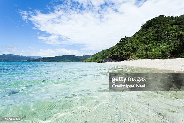crystal clear tropical water and deserted beach - amami stockfoto's en -beelden