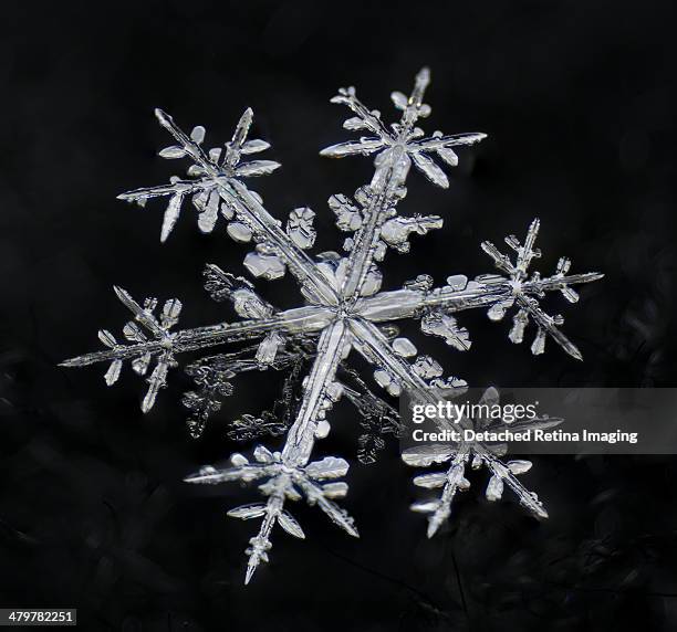 dendritic snowflake macro - copos de nieve fotografías e imágenes de stock