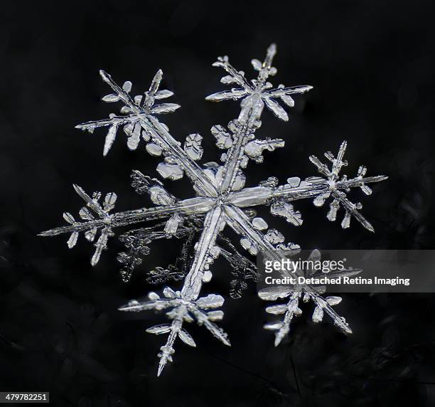 dendritic snowflake macro - snowflake foto e immagini stock