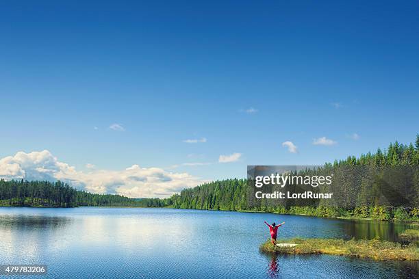 woman greeting a summer day - dalarna bildbanksfoton och bilder