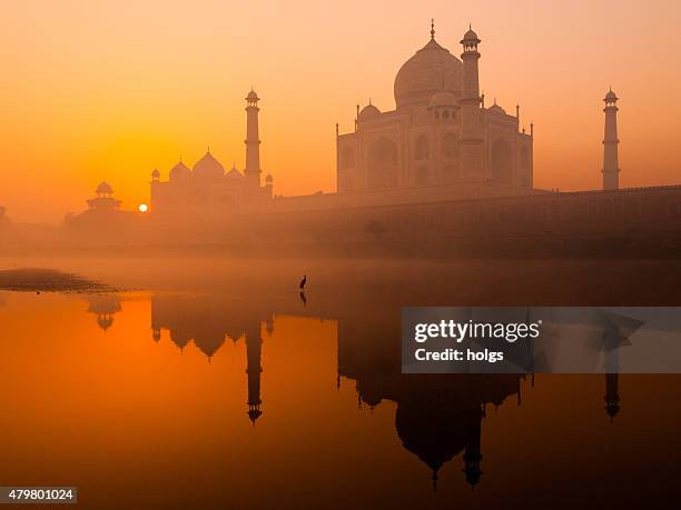 taj mahal at sunrise - taj mahal stock pictures, royalty-free photos & images