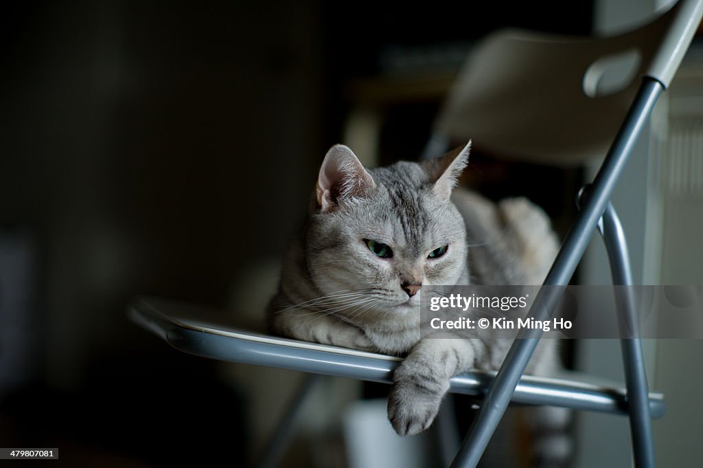 On the chair