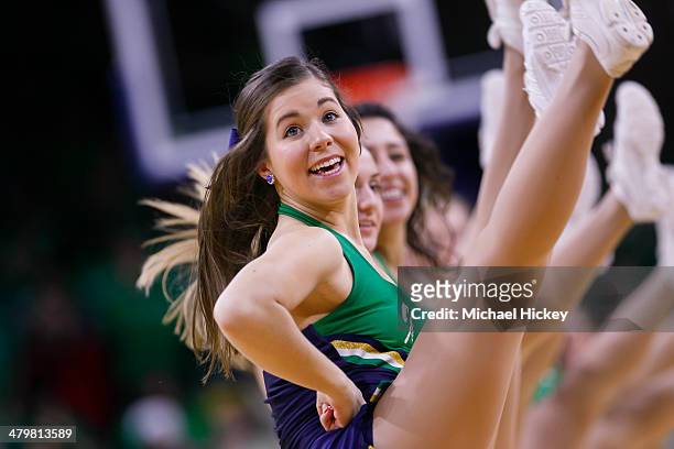 Notre Dame Fighting Irish dancer seen on the court during the game against the Pittsburgh Panthers at Purcel Pavilion on March 1, 2014 in South Bend,...