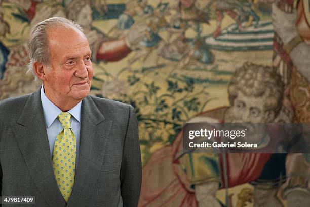 King Juan Carlos of Spain meets Fiscal Council Members at Zarzuela Palace on March 20, 2014 in Madrid, Spain.