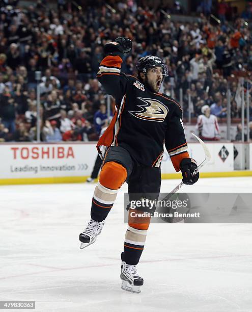 Mathieu Perreault of the Anaheim Ducks celebrates his powerplay goal at 1:32 of the third period against the Washington Capitals at the Honda Center...