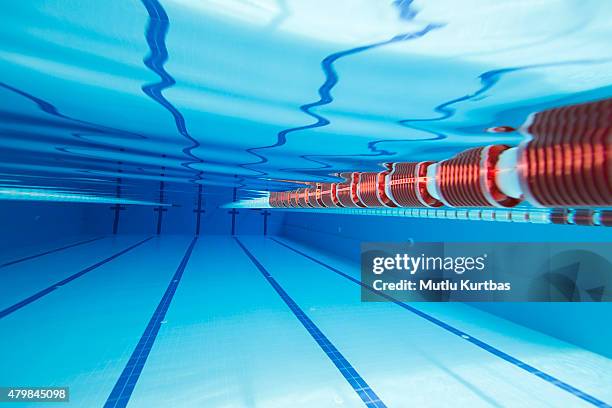 swimming pool - swimmingpool stockfoto's en -beelden