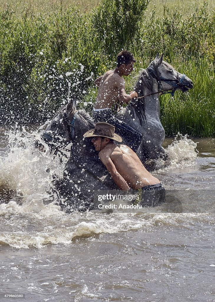 Horses cool off in a stream in Turkey