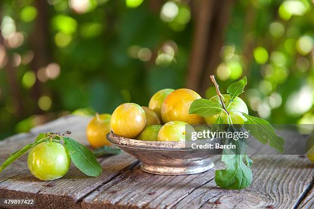 fresh green plums - greengage stock pictures, royalty-free photos & images