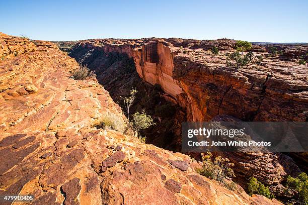 kings canyon. northern territory. australia. - kings canyon australia stockfoto's en -beelden