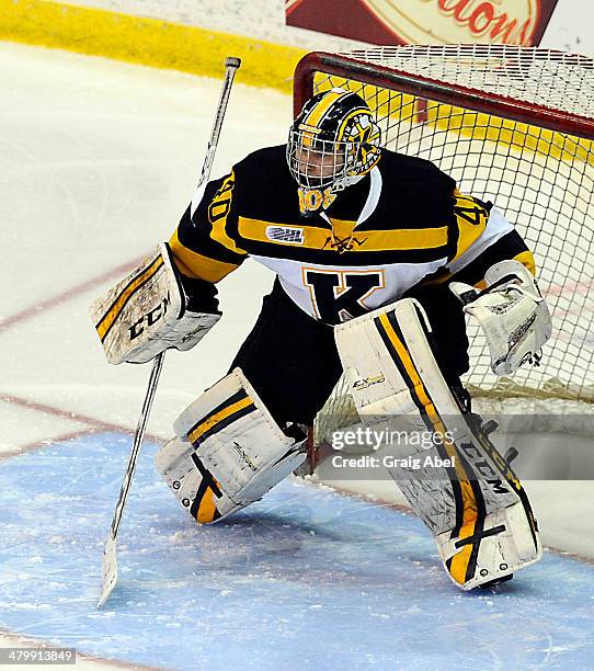 Lucas Peressini of the Kingston Frontenacs prepares for a shot against the Mississauga Steelheads during game action on March 16, 2014 at the Hershey...