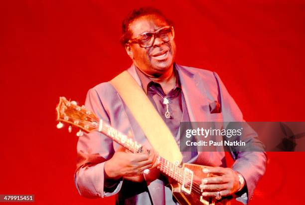 Blues musician Albert King performs onstage, Chicago, Illinois, June 6, 1986.