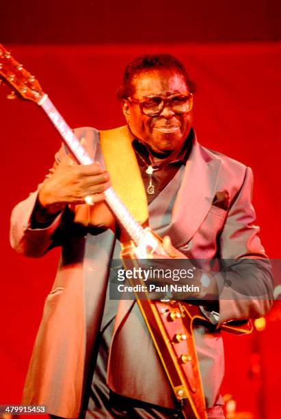 Blues musician Albert King performs onstage, Chicago, Illinois, June 6, 1986.