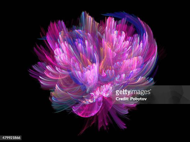 8,628 Purple Lotus Flower Photos and Premium High Res Pictures - Getty  Images