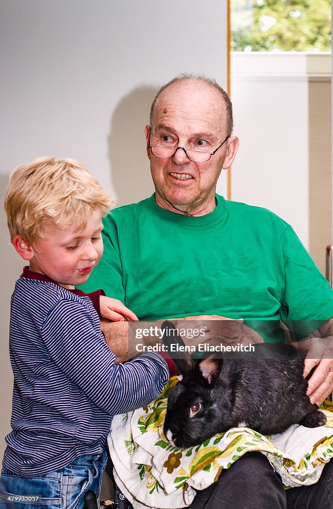 Grandfather with grandson and rabbit