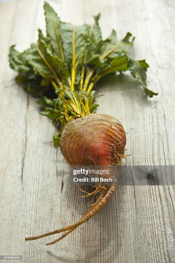 One golden beet on wood background