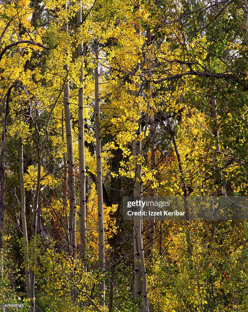 Grand Teton National Park