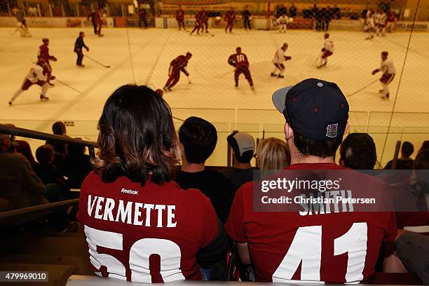 Fans watch as Arizona Coyotes propects participant in the development camp at the Ice Den on July 8, 2015 in Scottsdale, Arizona.