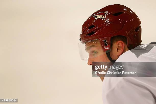 Max Domi of the Arizona Coyotes participates in the prospect development camp at the Ice Den on July 8, 2015 in Scottsdale, Arizona.