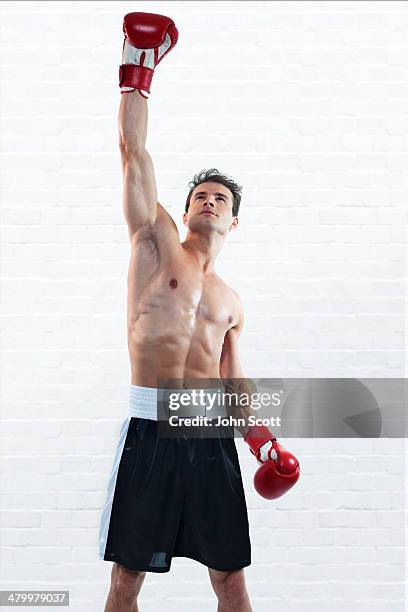 boxer training with gloves, victory celebration - boksbroek stockfoto's en -beelden