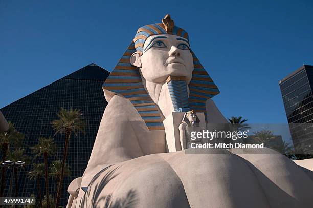 luxor sphinx - las vegas pyramid hotel stock pictures, royalty-free photos & images