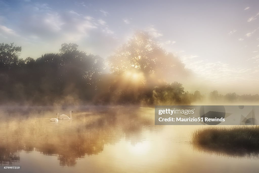 Reflection and mist