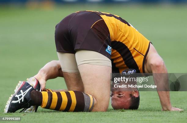 David Hale of the Hawks injures an ankle after a contest with Pearce Hanley of the Lions during the round one AFL match between the Hawthorn Hawks...