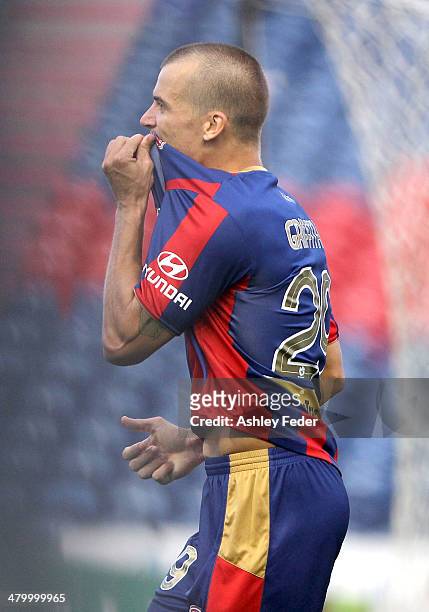 Joel Griffiths of the Jets celebrates a goal during the round 24 A-League match between the Newcastle Jets and Wellington Phoenix at Hunter Stadium...