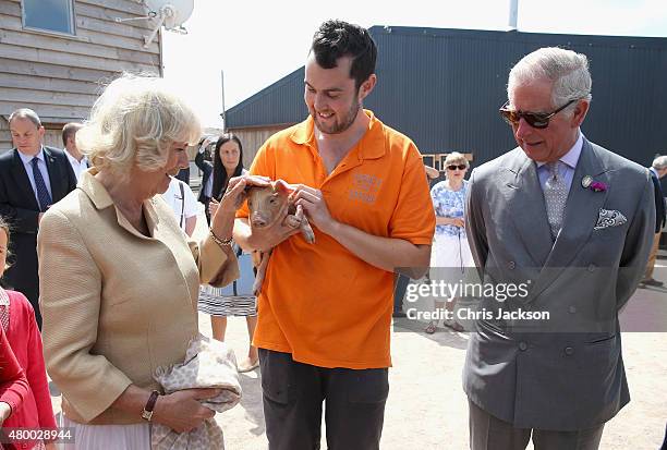 Camilla, Duchess of Cornwall and Prince Charles, Prince of Wales are shown a piglet as they visit Humble by Nature Farm on July 9 2015 in Monmouth,...