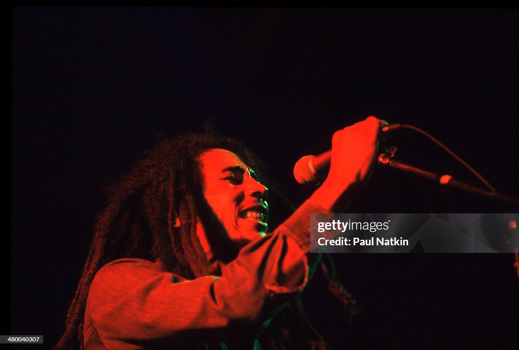 Bob Marley Performs Onstage