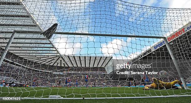 Papiss Cisse of Newcastle scores the winning goal past Crystal Palace goal keeper Julien Speroni during the Barclays Premier League match between...
