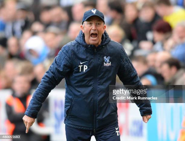 Crystal Palace manager Tony Pulis reacts on the touchline during the Barclays Premier League match between Newcastle and Crystal Palace at St James...