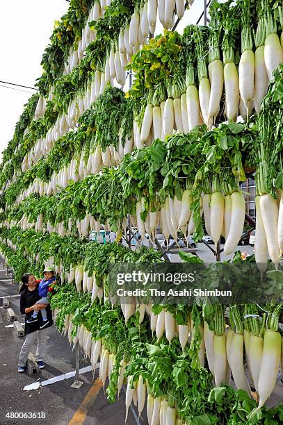 Daikon, Japanese radish are hung to dry to produce pickles on November 9, 2011 in Shiso, Hyogo, Japan.