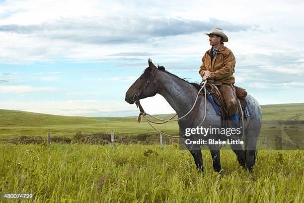 cowboy in landscape - alberta farm scene stockfoto's en -beelden