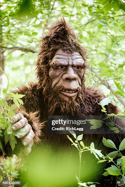 bigfoot in foliage - bigfoot stock pictures, royalty-free photos & images