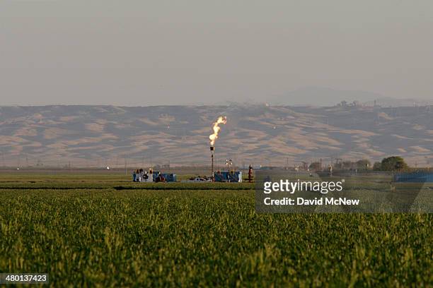 Gas is flared as waste from the Monterey Shale formation where gas and oil extraction using hydraulic fracturing, or fracking, is on the verge of a...