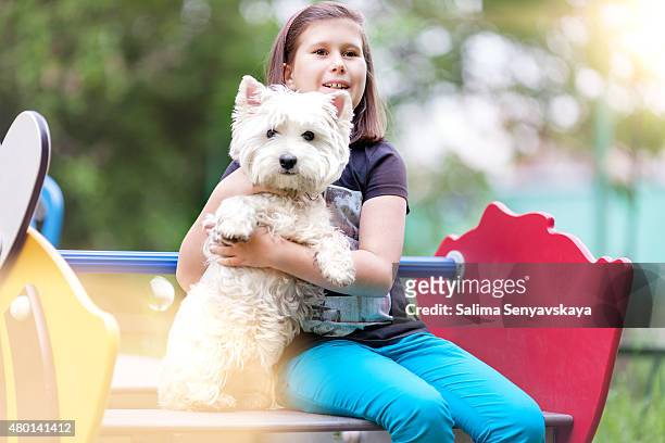mädchen mit westie auf spielplatz - west highland white terrier stock-fotos und bilder