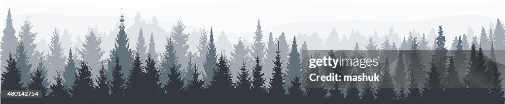 Tannen-Baum-Wald-panorama