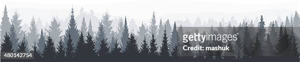 fir tree forest panorama - silhouette arbre stock illustrations