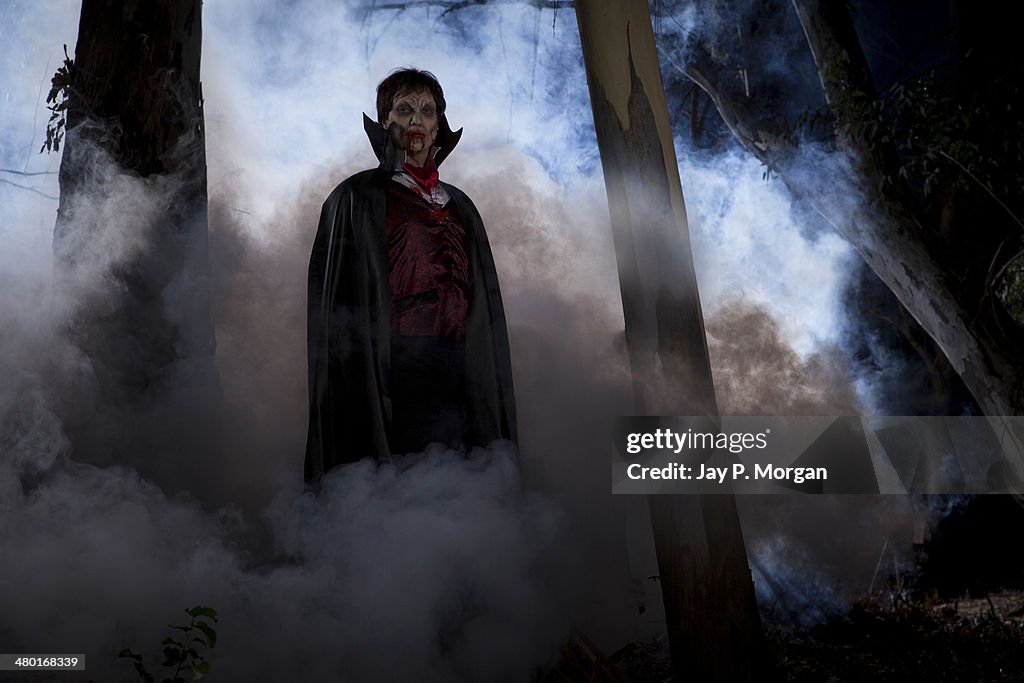 Dracula in the forest