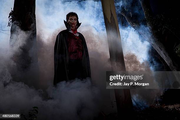 dracula in the forest - count dracula stock pictures, royalty-free photos & images