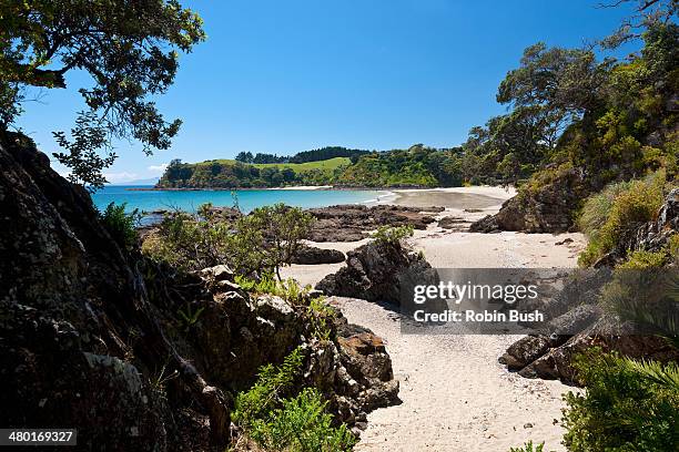 palm bay, waiheke island - waiheke island stock pictures, royalty-free photos & images