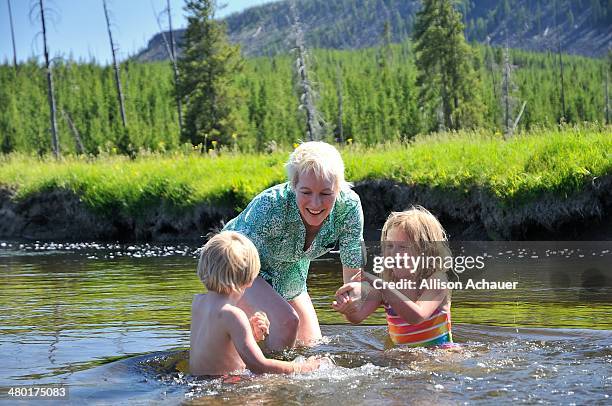 aquatic conspirators - hüfttief im wasser stock-fotos und bilder