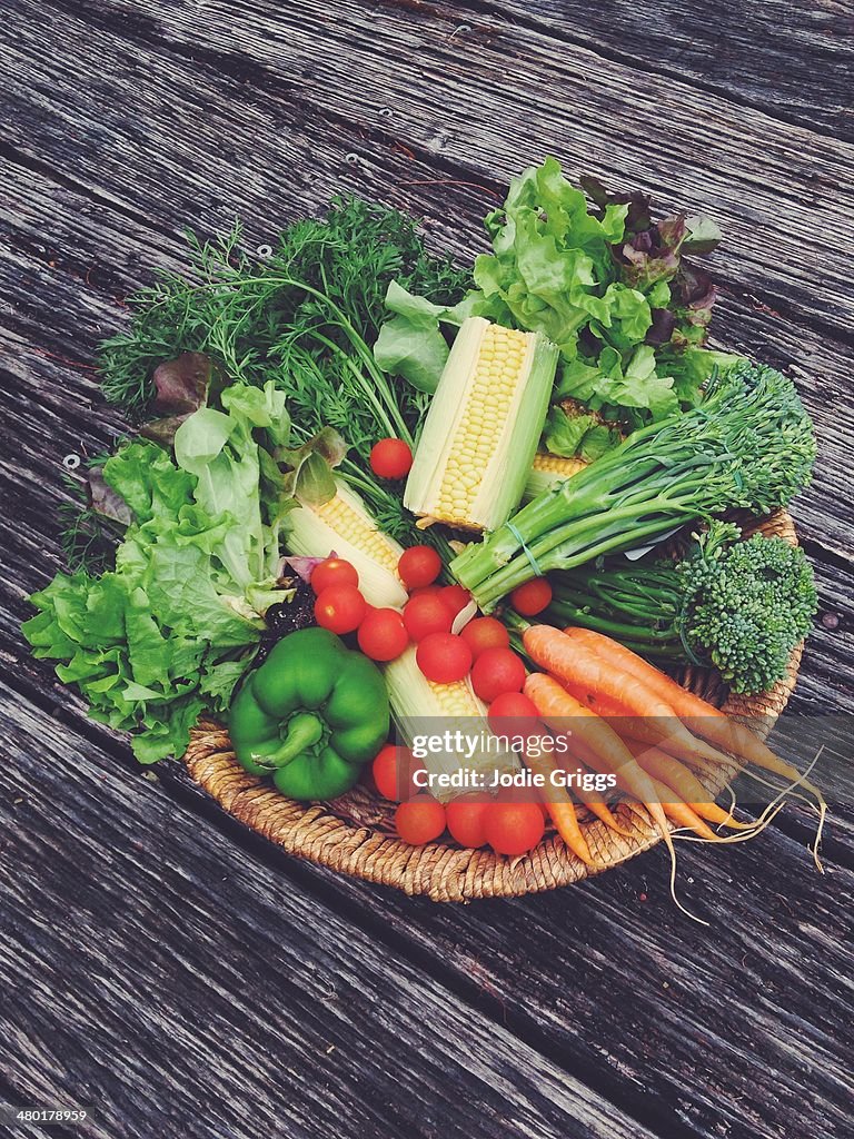 Basket filled with variety of fresh vegetables