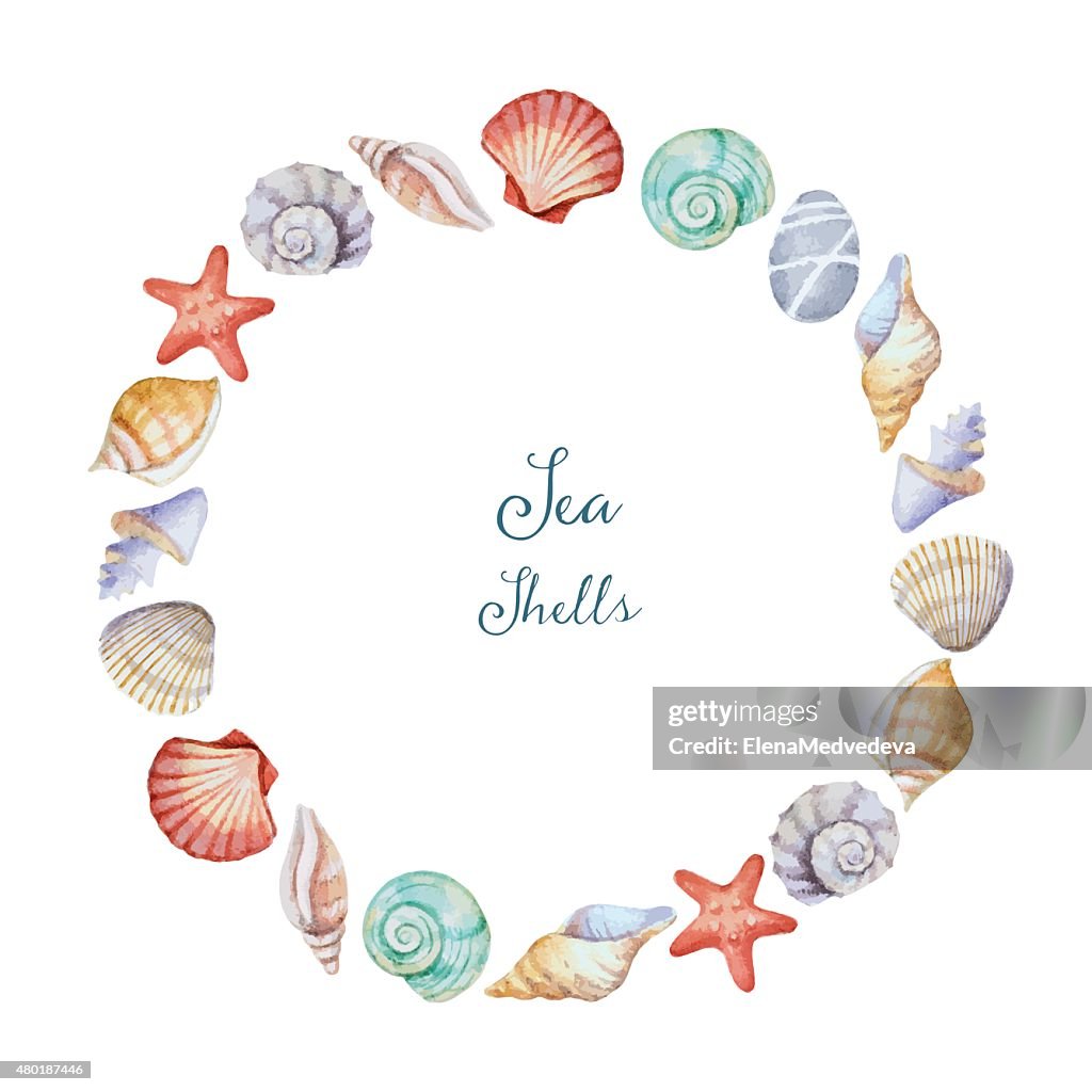 Shell Frame Round Watercolor Round Frame Of Sea Shells High-Res Vector Graphic - Getty Images